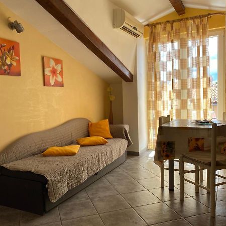 Apartments Tajana Novigrad Istria エクステリア 写真