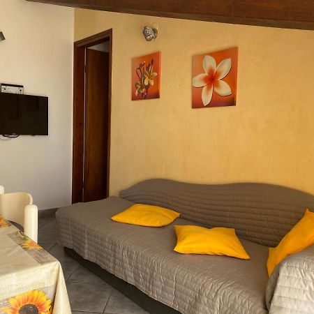 Apartments Tajana Novigrad Istria エクステリア 写真